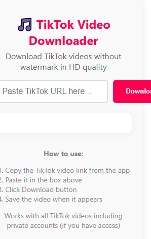 TikTok Video Downloader